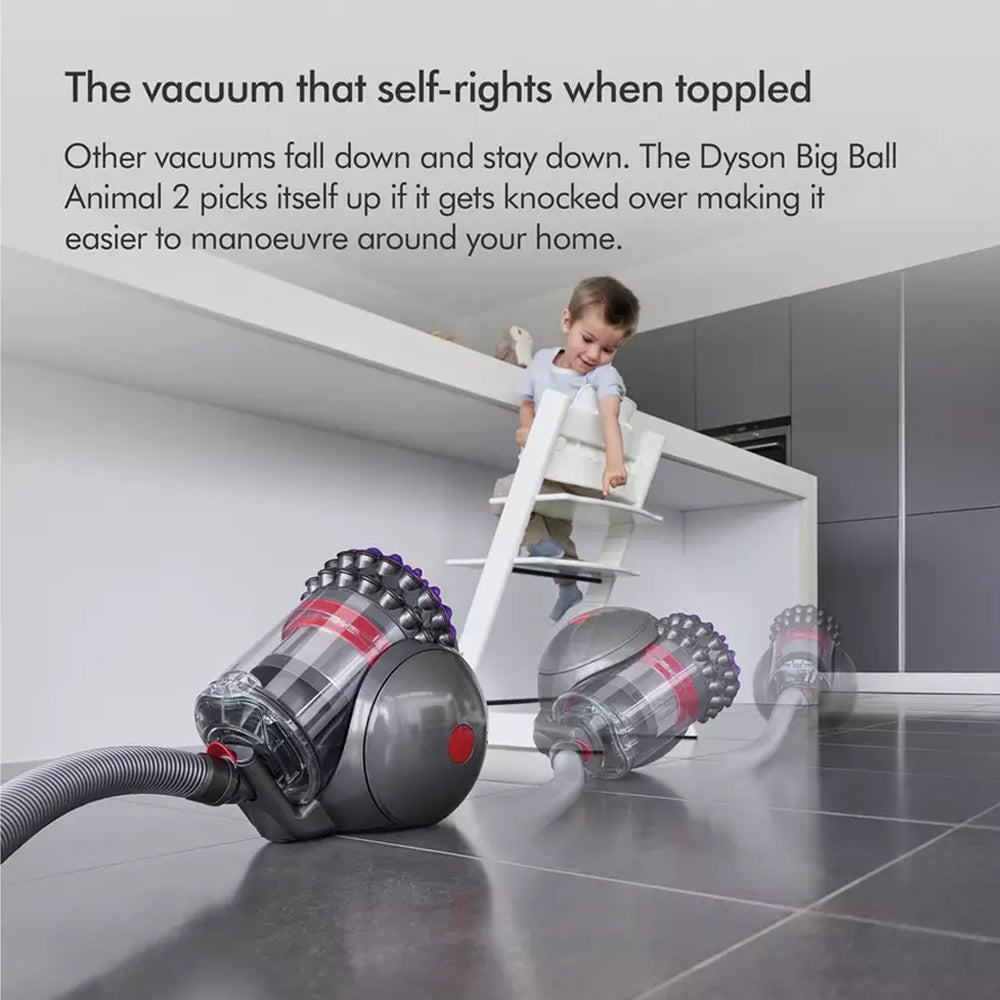 Dyson Big Ball Multifloor 2 Corded Cylinder Vacuum Cleaner BIGBALLMULTIFL2